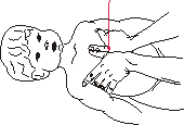 .5(   )